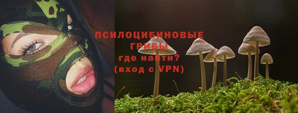 МДПВ Богородск