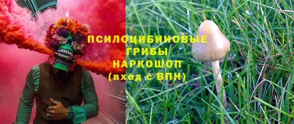 МДПВ Богданович