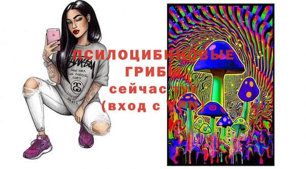 МДПВ Богданович