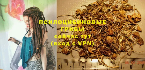 МДПВ Богданович