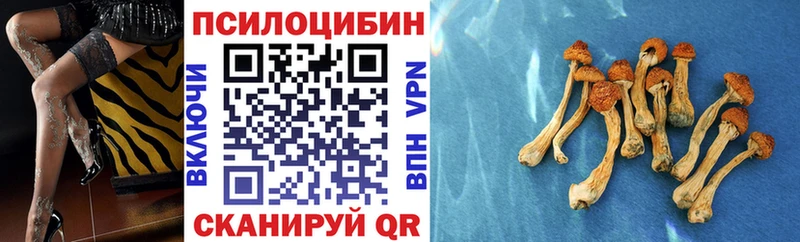 Псилоцибиновые грибы прущие грибы  купить   Светлогорск 
